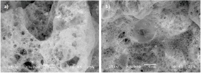 Im&aacute;genes de microscop&iacute;a electr&oacute;nica de barrido SEM de muestras