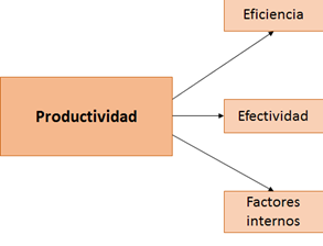 Indicadores contenidos en la productividad