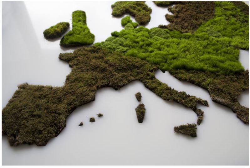 II žemėlapio faktūrų ir reljefo skirtumai