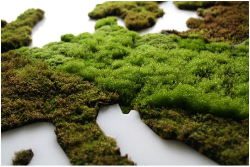 II žemėlapio fragmentas