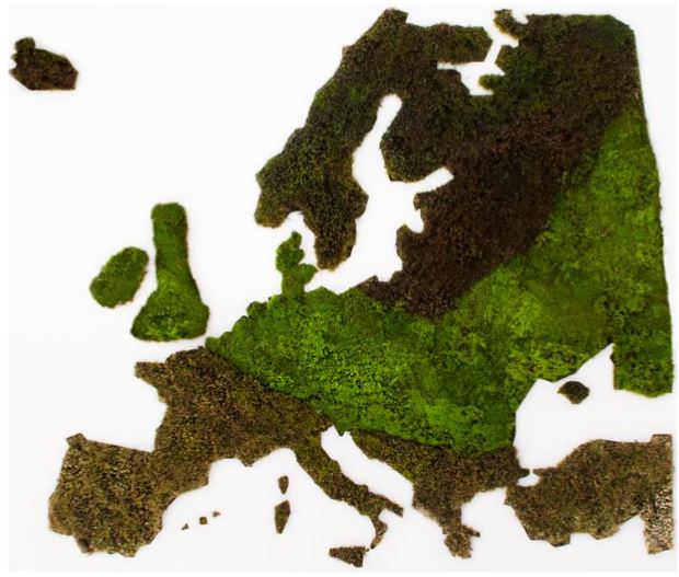 &bdquo;II žemėlapis&ldquo; &bdquo;Gyvasis žemėlapis&ldquo;, instaliacijos fragmentas, Sigitas Gužauskas, 2018