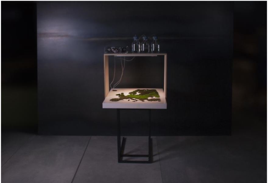 &bdquo;Gyvasis žemėlapis&ldquo;, instaliacija, Sigitas Gužauskas, 2018