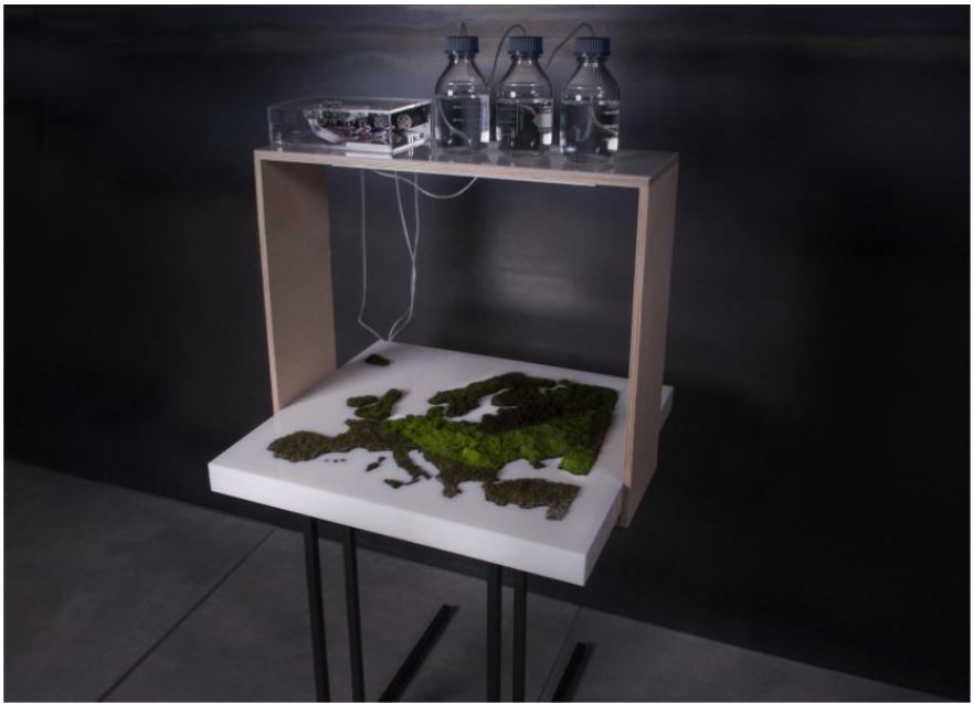 &bdquo;Gyvasis žemėlapis&ldquo;, fragmentas