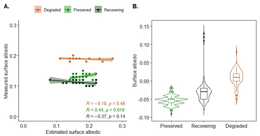 Distribution of measured and estimated: A. Surface albedo values in the studied areas; B. Associated absolute error.