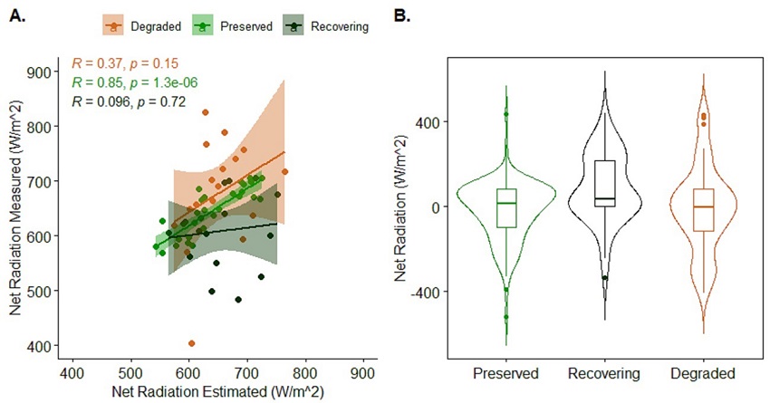 Distribution of the measured and estimated: A. Net radiation (Wm-2) values in the studied areas; B. Associated absolute error.