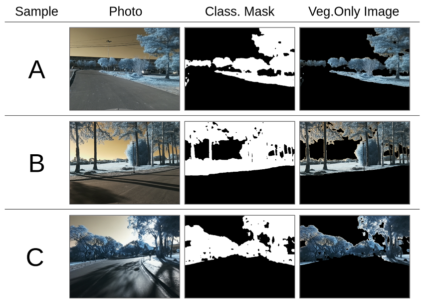 Samples of resulting vegetation-only images.