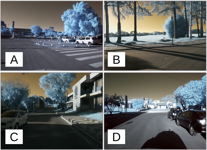 Samples of digital images taken by the TMMS.