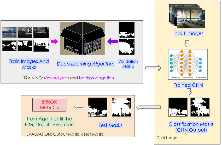 The CNN Training Process.
