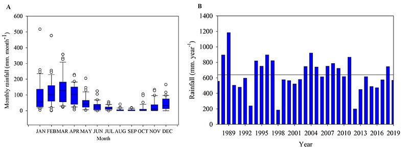 Annual precipitation (mm) in the municipality of Serra Talhada from 1987 to 2019: A. box plot of monthly precipitation; B. annual accumulated precipitation and the black line is the annual average.