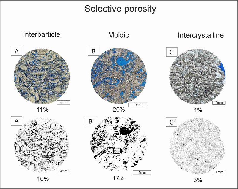 A. thin-section showing the interparticle porosity type and laboratory measurement; A’. 2D binary image showing the interparticle porosity type and ADI result; B. thin-section showing the moldic porosity type and laboratory measurement; B’. 2D binary image showing the moldic porosity type and ADI result; C. thin-section showing the intercrystalline porosity type and laboratory measurement; C’. 2D binary image showing the intercrystalline porosity type and ADI result.