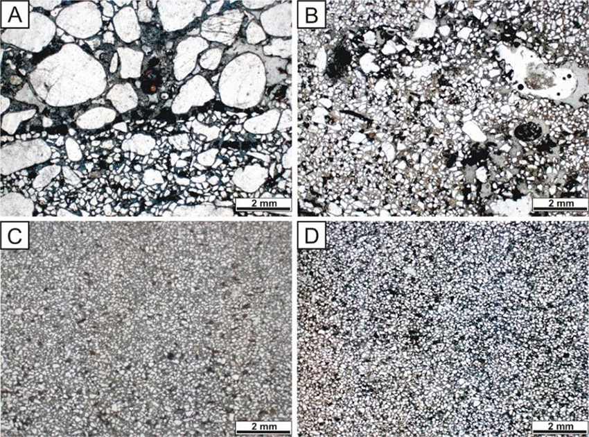 Microscopic aspects of the sandstones on the Campos - Macaé Canal margins: A. Medium- to very coarse-grained sandstone, bimodal, poorly-sorted, with planar parallel lamination marked by the grain size variation and concentration of carbonaceous matter; B. Medium-grained sandstone, poorly-sorted, with sub-rounded and sub-angular grains and moderate sphericity; C. and D. Fine-grained sandstone, well-sorted, massive, with phytoclasts and clay peloids dispersed.