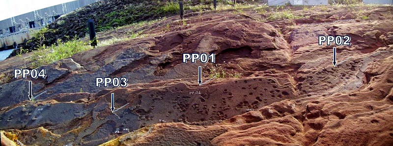 General view of the ichnofossil geosite on the left bank of the Paraná River downstream of the Porto Primavera Hydroelectric Plant, in Rosana municipality in São Paulo State. Tracks of theropod dinosaurs and small quadruped mammals, concave epireliefs in sandstones (PP01-PP04). Typical displacement rims, produced by displacement by animals in inclined sandy substrates of wind dune foresets.