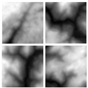 Demonstations of 4 low resolution samples generated for the dataset used to perform the DEM-ERSGAN training.