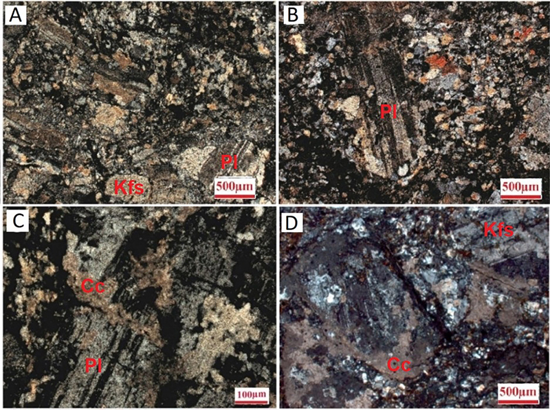 Representative petrographic features of tonalite and granodiorite from Area I and II: A. and B. General aspects showing inequigranular porphyritic texture, composed of plagioclase phenocrysts and matrix composed of quartz and K-feldspars; C. and D. Plagioclase crystals replaced by calcite.