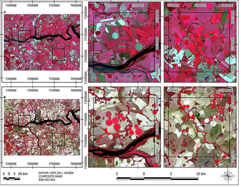 Sentinel-2 images from the two different periods: A. Final of rainy period (May 2020) and zoomed areas (A1 and A2); B. Dry period (September 2020) and zoomed areas (B1 and B2). The red areas represent the photosynthetically active regions.