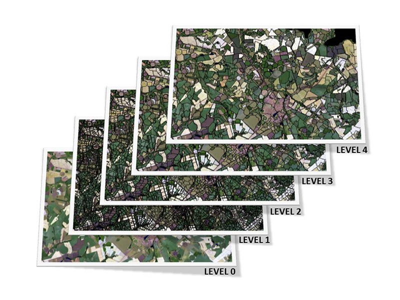 Multiresolution segmentation and hierarchical net between levels of segmentation.