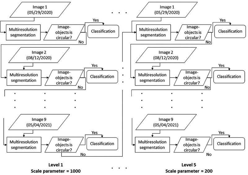 Multiresolution segmentation and classification sequence process beginning at scale parameter 1000 and finishing at scale parameter 200.