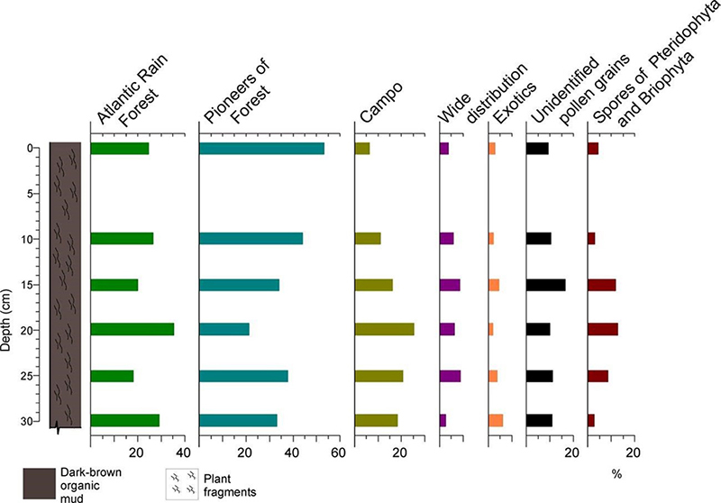 Relative frequency (%) diagram of palynomorphs according to the established groups for the Camorim dam core. 