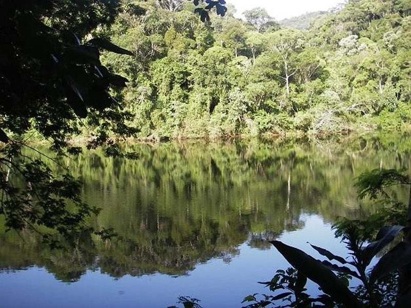 Camorim dam, seen from the retaining wall: water mirror and forest. 