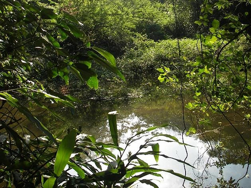 Core&rsquo;s withdrawal location. 