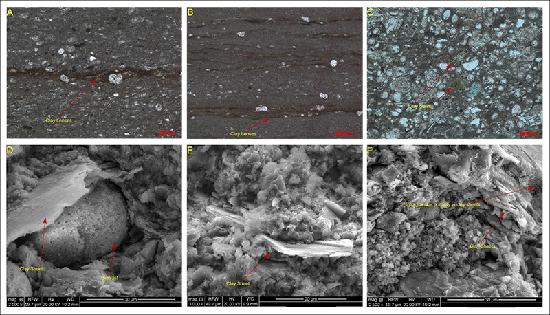 Different occurrences of clays in the carbonates: A. Photomicrography in parallel nicols, clay films covering bioclasts; B. Photomicrography in parallel nicols, clay lenses disseminated in the matrix forming lamination; C. Photomicrography in parallel nicols, with detailed view of clay grains; D. Backscattered SEM image of clay sheets covering bioclasts; E. Backscattered SEM image clay sheets in the micrite; F. Backscattered SEM image clay sheets with intragranular porosity.