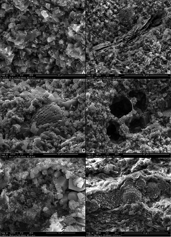 Backscattered SEM images with evidence of micropores: A. Porous matrix; B. Porous matrix with clay lenses with intragranular pores; C. Porous bioclast; D. Porous bioclasts with intragranular porosity; E. Calcite cement with intercrystalline pores; F. Framboidal pyrite cement with intercrystalline pores.