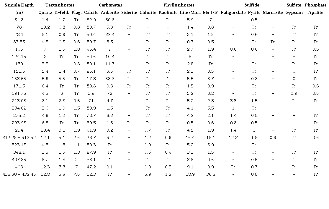 Percentage of minerals measured in the samples according to depth (m).