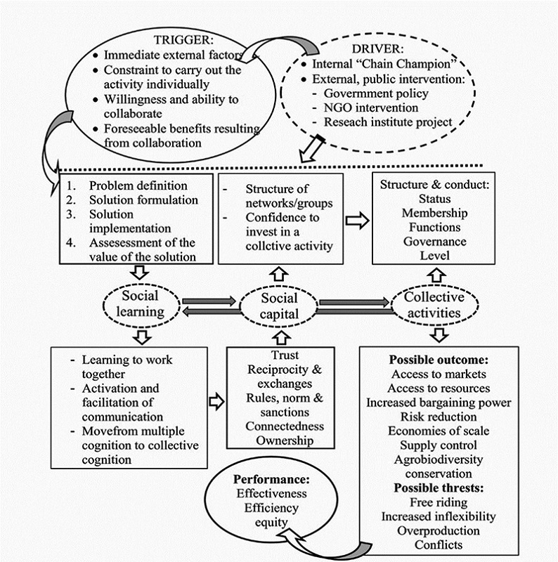 Collective action process for smallholder market participation (Kruijssen, Keizer & Giuliani 2009).