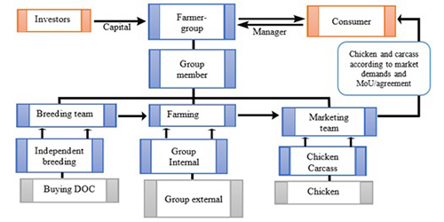 Concept of operational model joint business unit of free range chicken in Women-Farmer Group &lsquo;La Tulip&rsquo; Lamongan regency.