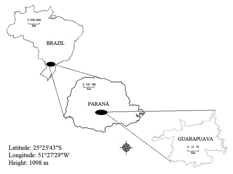 Location of samples collected in the urban area of Guarapuava City. Paraná, Brazil.