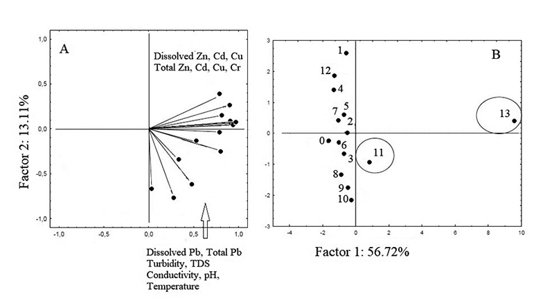 Graphics obtained for water samples: A. Weight; B. Score.