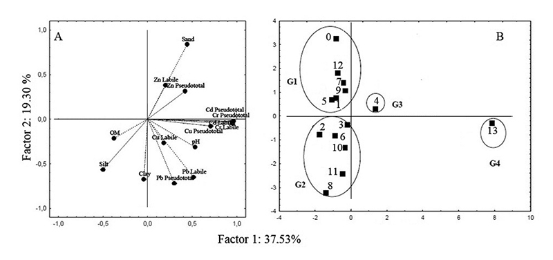 Graphic obtained for the surface sediment samples: A. Weights; B. Scores.