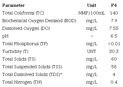Results of laboratory tests at sampling point P4.
