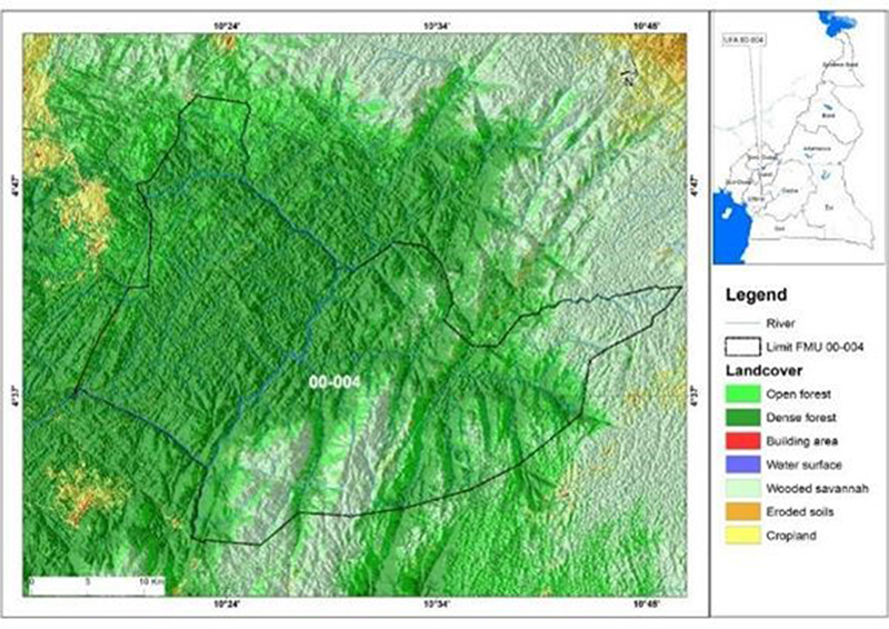 Land use of FMU 00-004 and its surroundings in 2020.