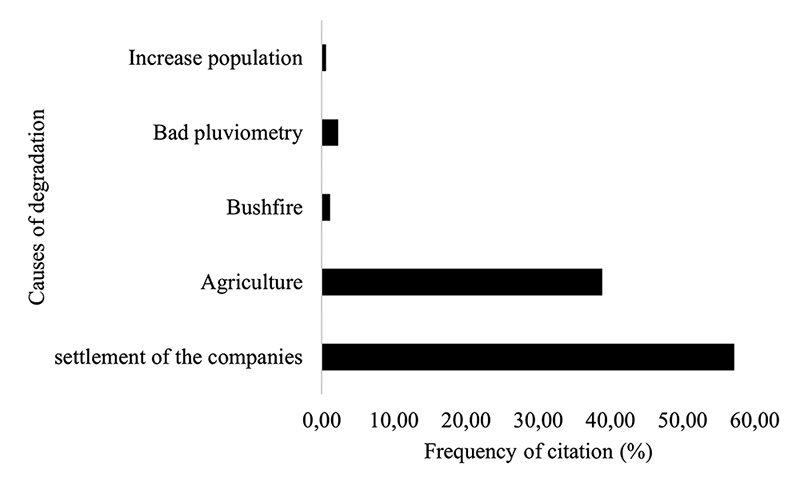 Perception of degradation&rsquo;s causes of the forest landscape in FMU 00-004.