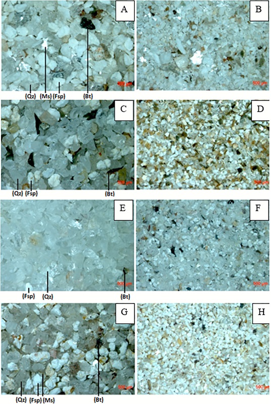 Photograph of the grains: A, C, E, G. Grains of Rejeito, Carrancudo, Posto and Galerias Pegmatites, respectively, under 6 mm; B, D, F, H. Grains of Rejeito, Carrancudo, Posto and Galerias Pegmatites, respectively, under 2 mm; Qz = Quartz, Fsp = Feldspar, Ms = Muscovite. Bt = Biotite.