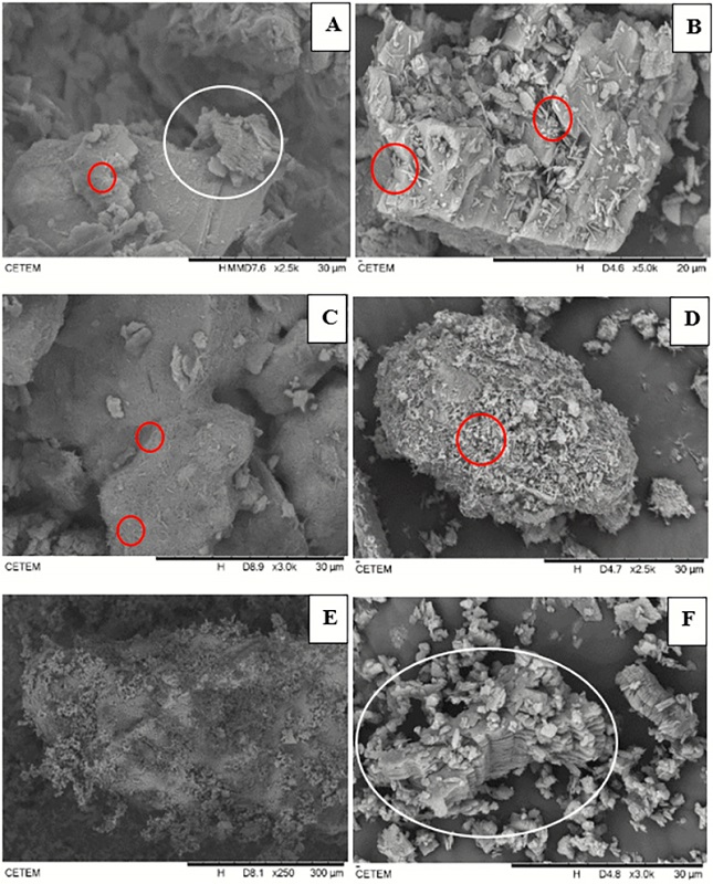Backscattered SEM Images of the grains of the studied pegmatites: A-B. Presence of tubular halloysite and booklets of kaolinite in the Rejeito pegmatite raw sample and < 44 �m fraction, respectively; C-D. Presence of abundant tubular halloysite in the Carrancudo pegmatite samples; E. Grain of feldspar showing irregular surface produced by weathering of the Posto pegmatite raw sample; F. Presence of hexagonal kaolinite in Posto pegmatite.