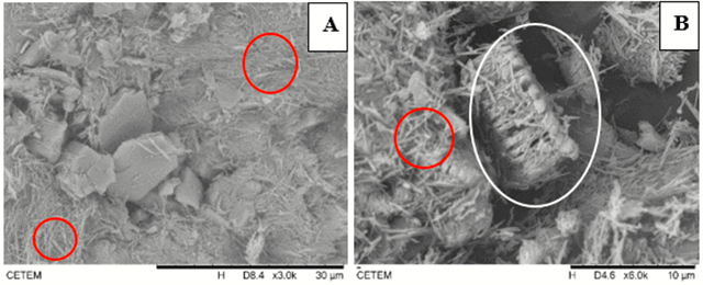 Backscattered SEM Images of the grains of the studied pegmatites: A-B. Presence of abundant tubular halloysite growing over the kaolinite in both samples Galerias pegmatite.