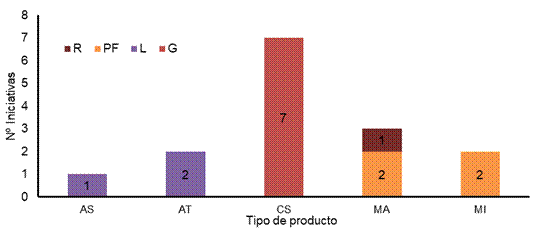 Iniciativas por tipo de producto y formato de entrega