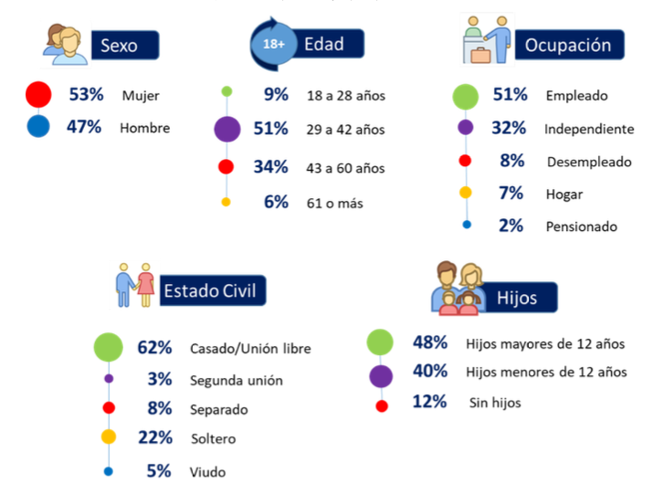Perfil demogrfico fase cuantitativa