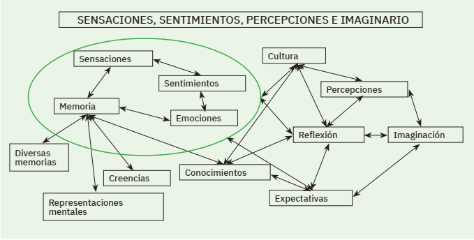 Sensaciones, sentimientos, percepciones e imaginario