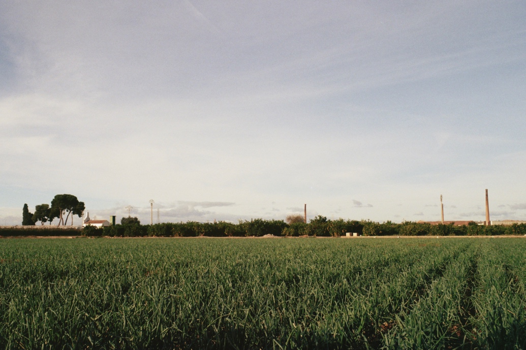 Panor�mica de l&rsquo;Horta Nord. Campos de cebolla y chimeneas.