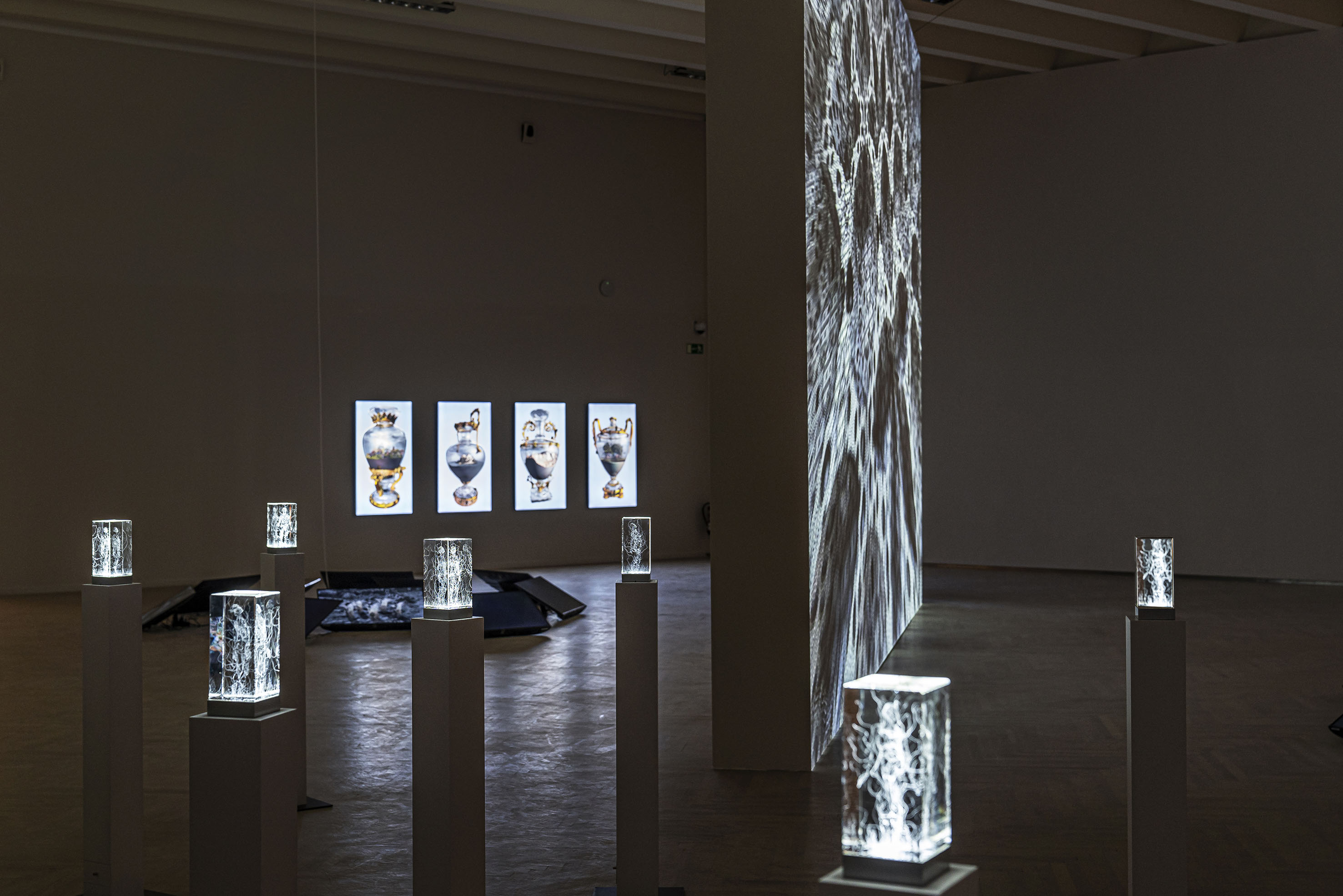 Vista general de la exposici�n