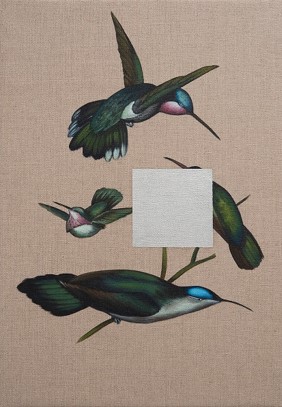 «Mexican hummingbirds»