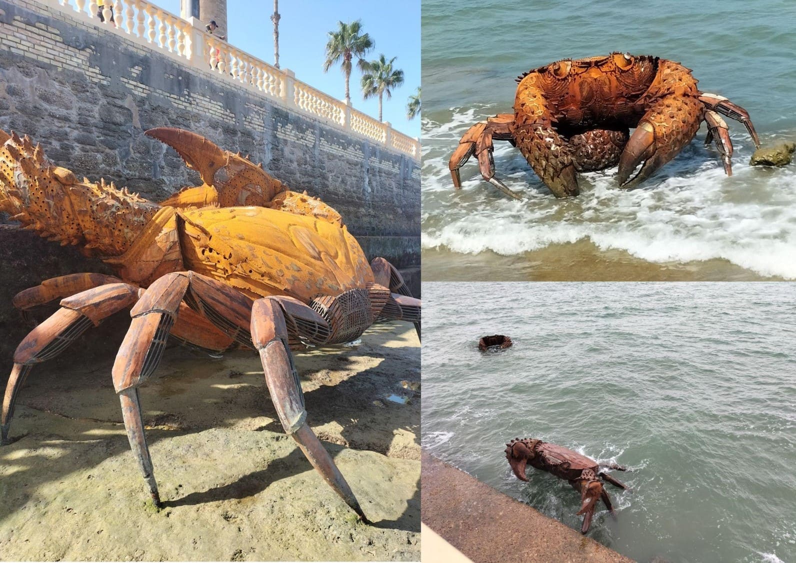 �Cangrejos en el litoral�