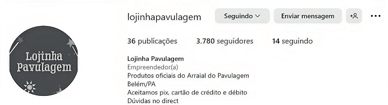 Printscreen do perfil da Lojinha Pavulagem, no Instagram