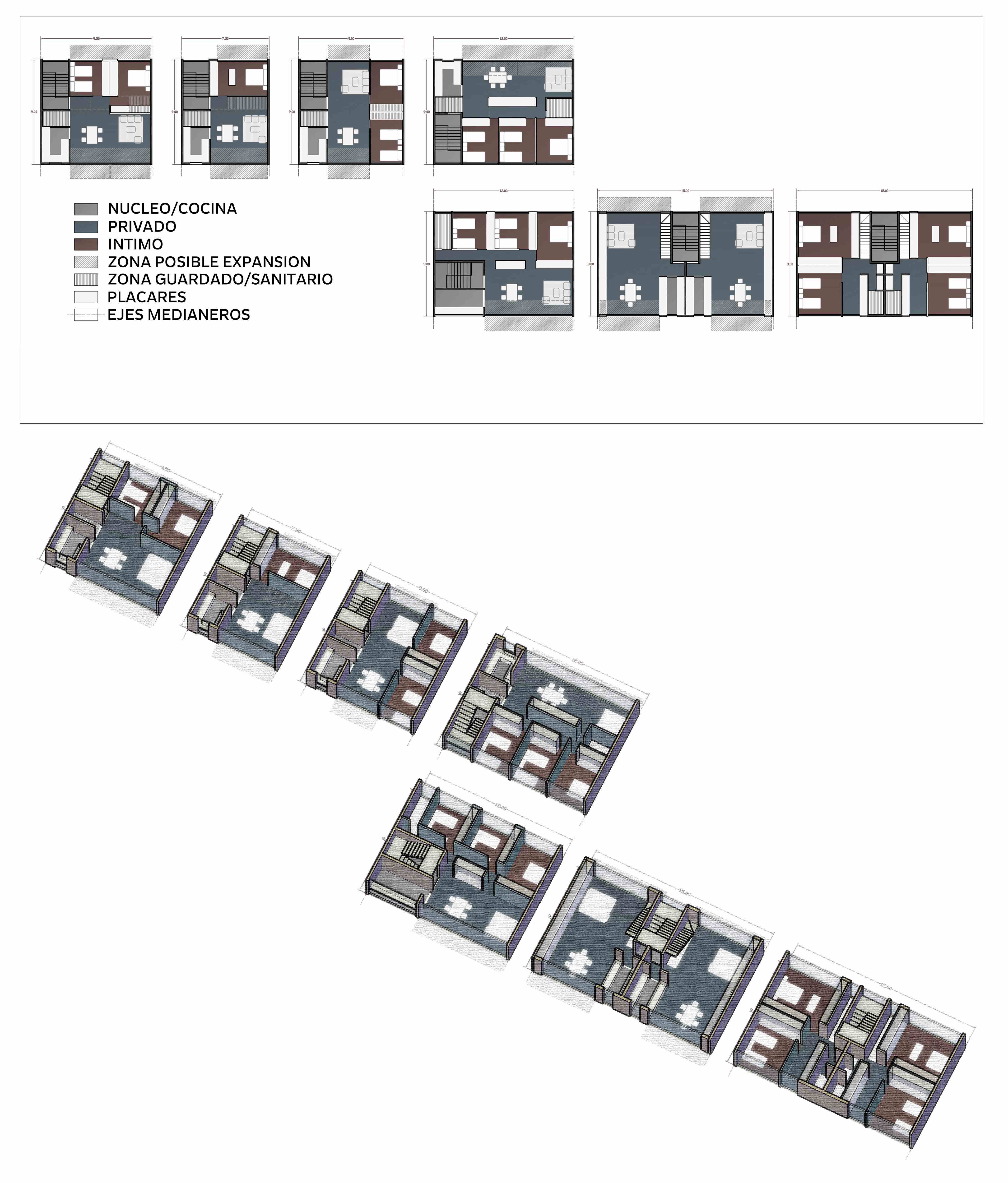 Organizaci�n de c�lulas