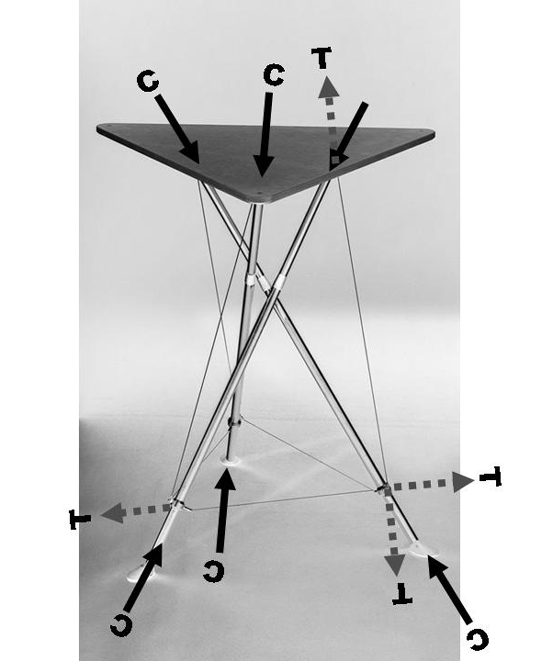 Esquema de esfuerzos de tracci�n y compresi�n en la Tableframe, aut�ntica estructura tens�grita, seg�n la definici�n.
