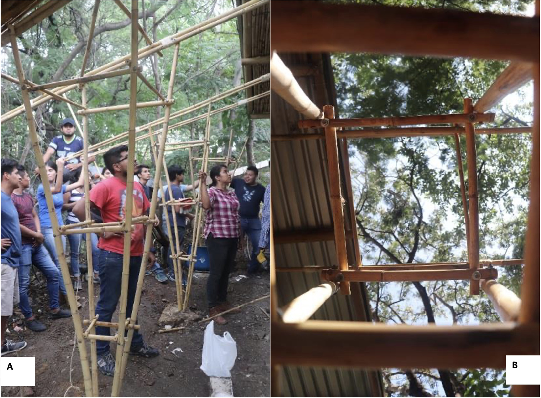 Estructuras ligeras desarrolladas en el taller en las instalaciones de la Facultad de Arquitectura de la Universidad Aut�noma de Chiapas, M�xico. A) Elementos estructurales a base de Otatea fimbriata (Guich). B) Interior de estructura ligera.