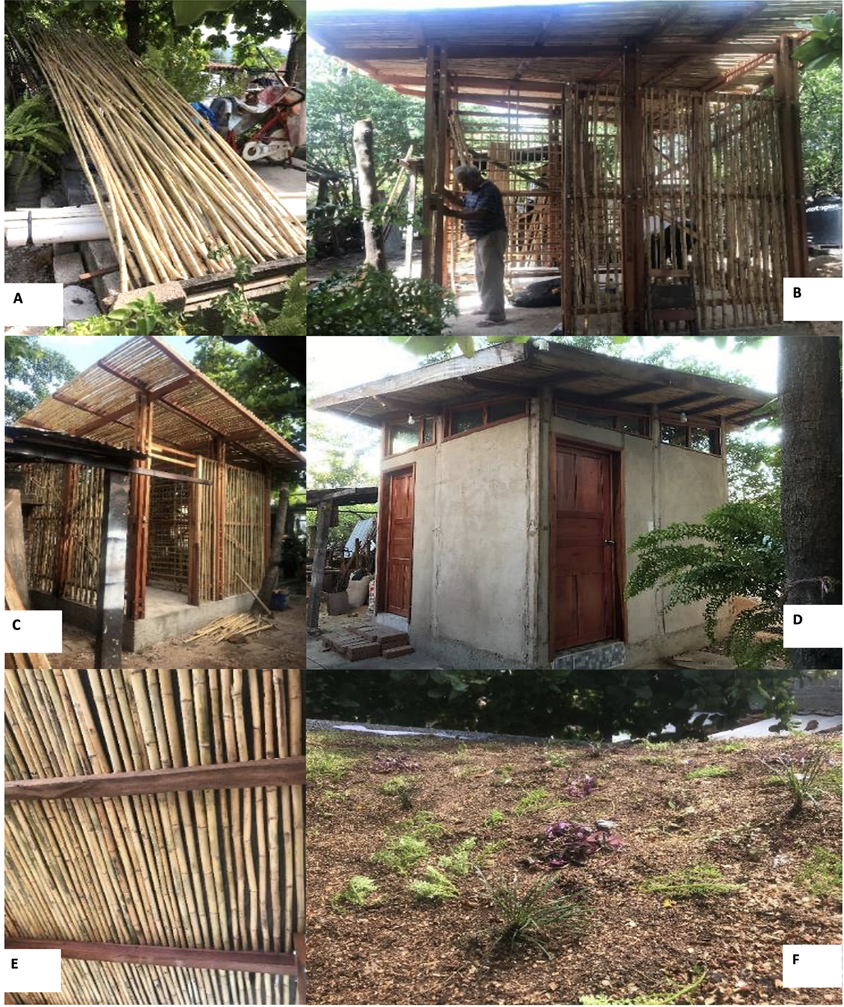 M�dulo Sanitario con cubierta verde hiperb�lica en el que se emplean materiales regionales para erigir los componentes estructurales de muros y cubierta. A) Culmos de Otatea fimbriata Soderstr. (Guich). B) y C) Estructura de muros y cubierta a base de madera y Otatea fimbriata.  D) Modulo sanitario donde se identifica la composici�n de los muros a base de tierra. E) Elementos horizontales de Guich en la composici�n estructural de la cubierta. F) Cubierta verde sobre la estructura del ba�o.